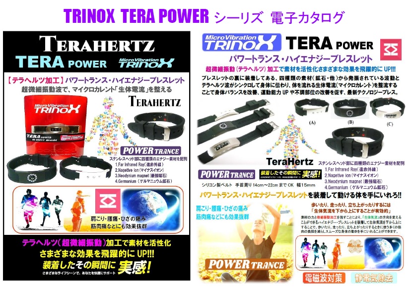 TRINOX TERA POWER シーリズ電子カタログ1